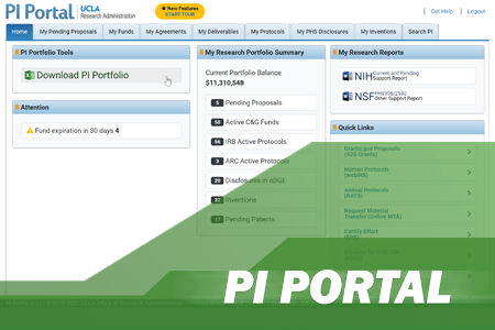 Picture indicating PI Portal